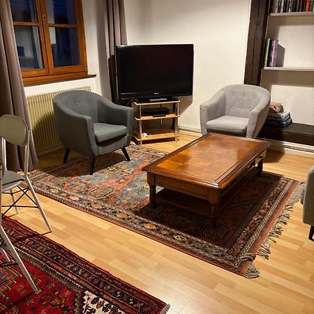 Appartement Authentique Centre Historique กอลมาร์ ภายนอก รูปภาพ