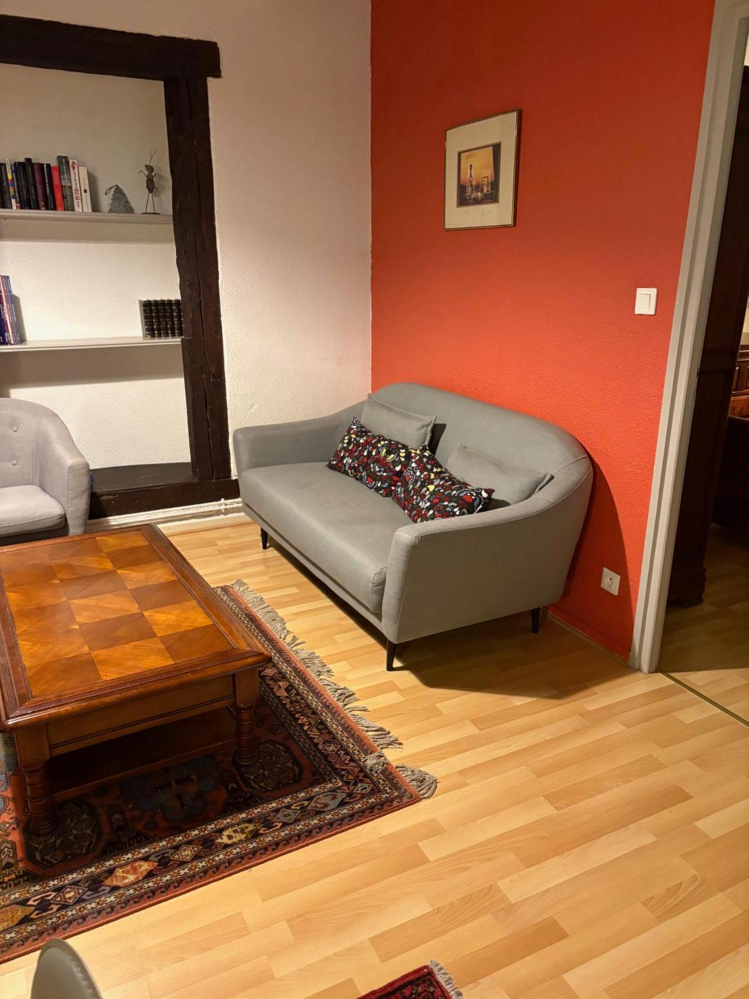Appartement Authentique Centre Historique กอลมาร์ ภายนอก รูปภาพ